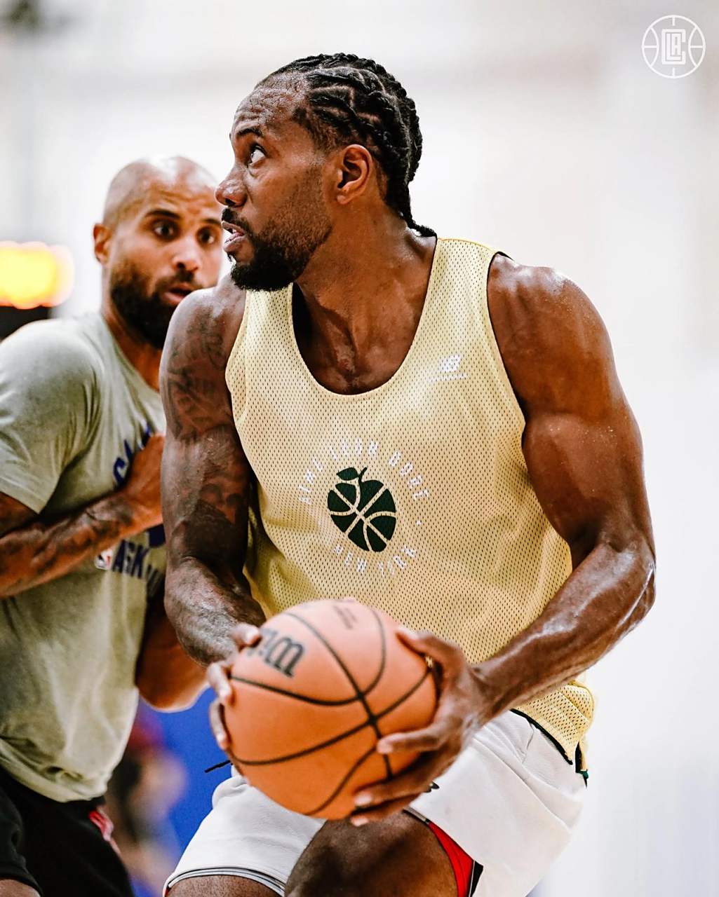 哈登王者归来，29+6+6拯救泰伦卢！快船双杀尼克斯，超勇士升第六